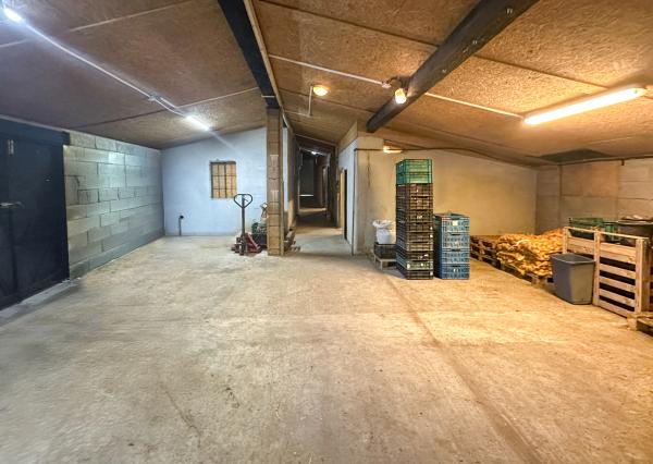 Zabehnutá menšia farma s pozemkom 3800m2 Želiezovce