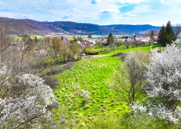 Slnečný stavebný pozemok 3500m2 Hontianske Tesáre