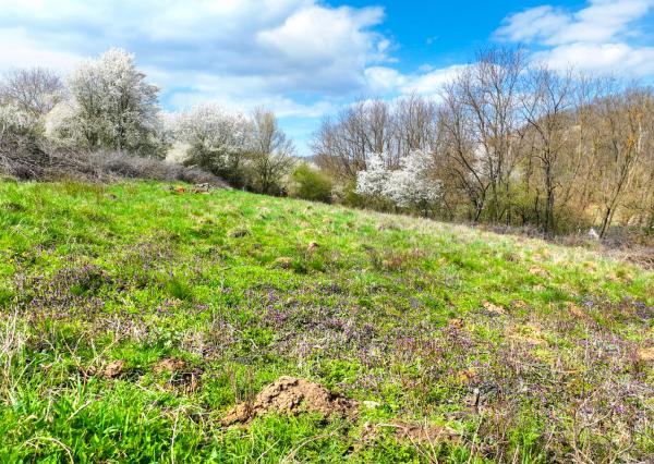 Slnečný stavebný pozemok 3500m2 Hontianske Tesáre