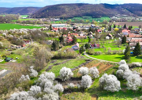 Slnečný stavebný pozemok 3500m2 Hontianske Tesáre