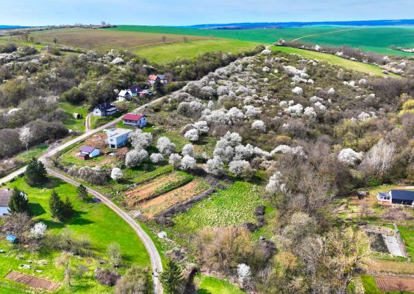 Slnečný stavebný pozemok 3500m2 Hontianske Tesáre