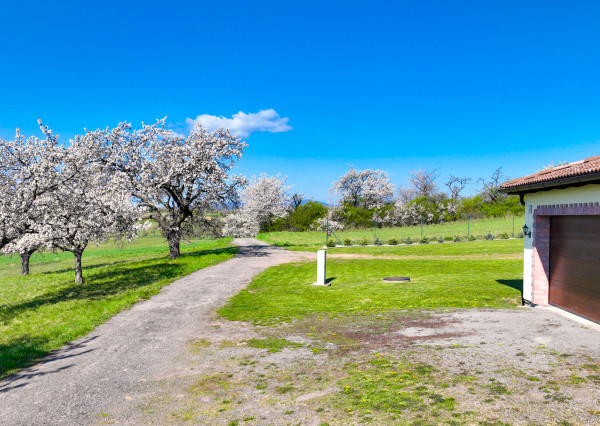 Moderná rodinná usadlosť, pozemok o veľkosti 9000m2, Krupina