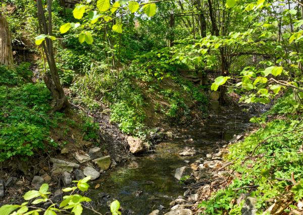 Pozemok so sieťami a možnosťou stavby 333m2, Pukanec