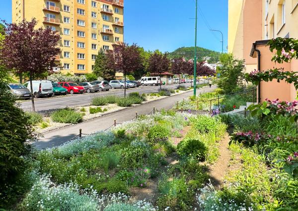 Prenájom 1-izbového bytu, Banská Štiavnica, ul. Dolná