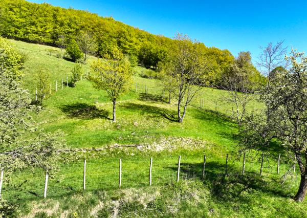 Krásny pozemok pre výstavbu chaty - chalupy 1281m2, Uhliská