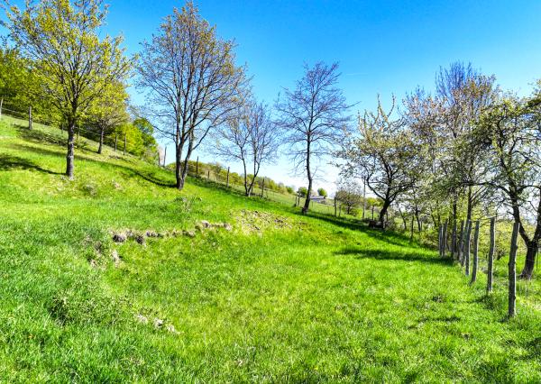 Krásny pozemok pre výstavbu chaty - chalupy 1281m2, Uhliská