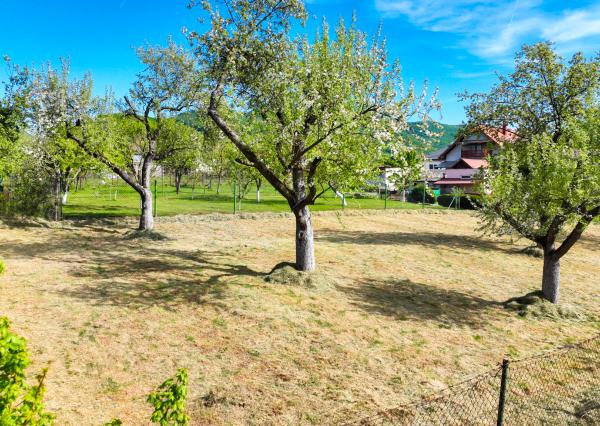Slnečný, rovinatý pozemok s možnosťou stavby 1565m², Voznica