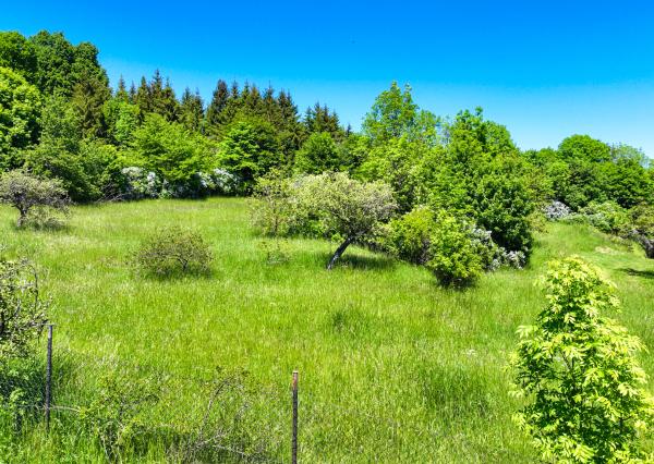 Pozemok 970m2 s možnosťou stavby Horná Roveň, Štiavnické Bane