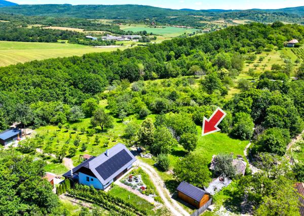 Pozemok s viničným domom a možnosťou stavby, obec Jabloňovce