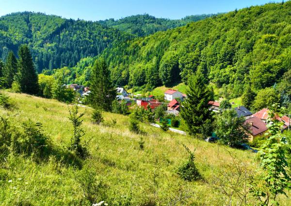 Pozemok s možnosťou stavby o veľkosti 981m2, Baláže
