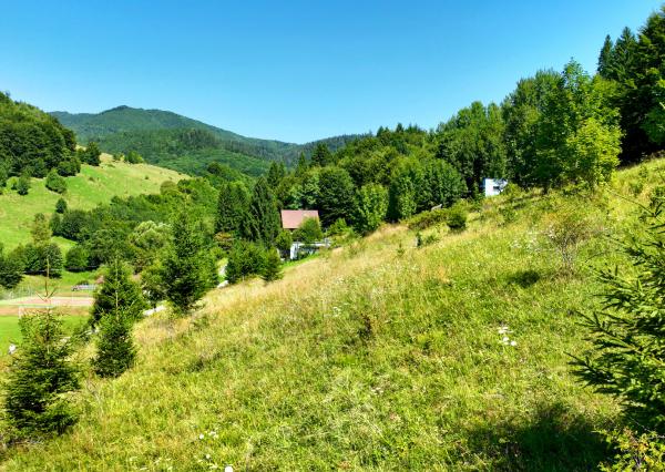 Pozemok s možnosťou stavby o veľkosti 981m2, Baláže