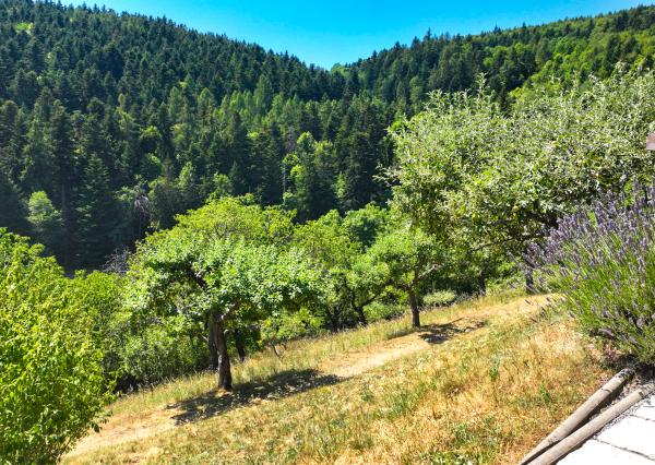 Výnimočný apartmánový areál nad tajchom Klinger, Banská Štiavnica