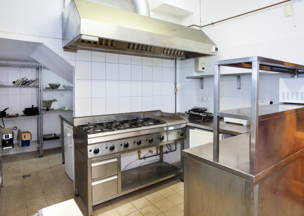 Penzión - Rodinné sídlo s pozemkom 8 753m2, Dudince