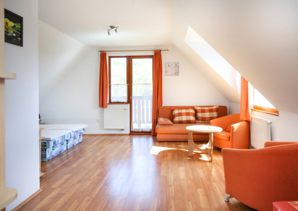Penzión - Rodinné sídlo s pozemkom 8 753m2, Dudince